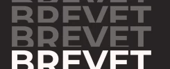 comment bien réviser le brevet 2025